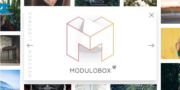 Modulobox 最好用的WordPress灯箱插件