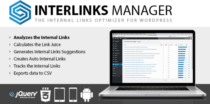 WordPress内链管理插件 Interlinks Manager