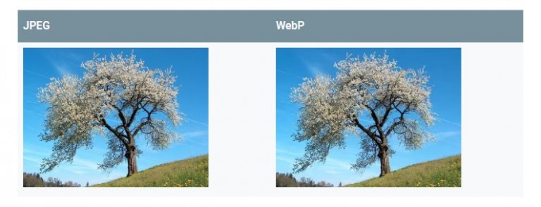 使用ShortPixel为你的WordPress配置WebP图片