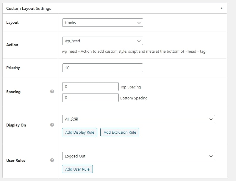 astra theme hooks options